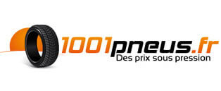 Ancien logo 1001pneus.fr 2009