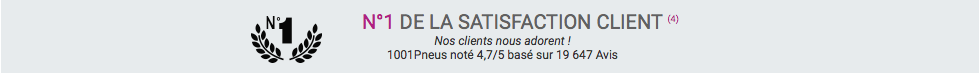 1001pneus.fr est N°1 de la satisfaction client